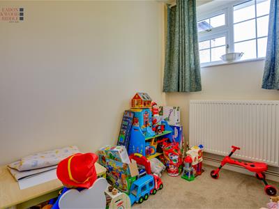 Picture 20